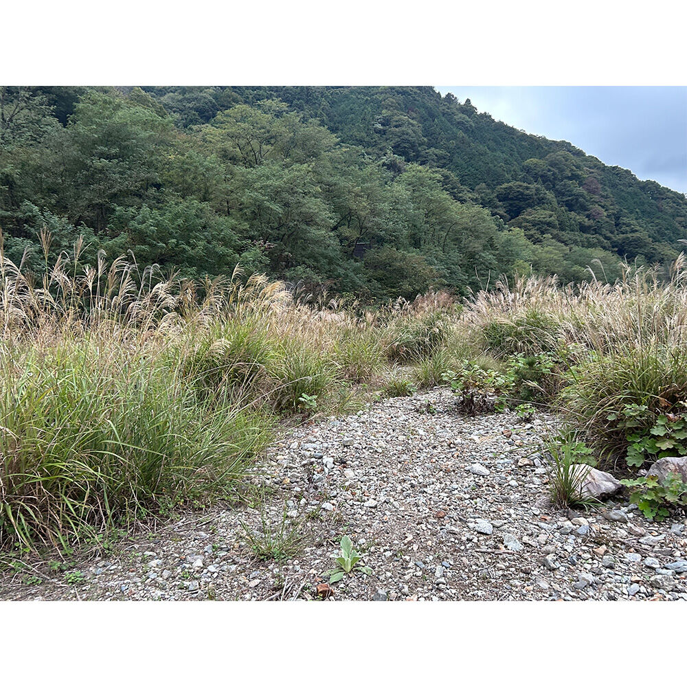 画像4859