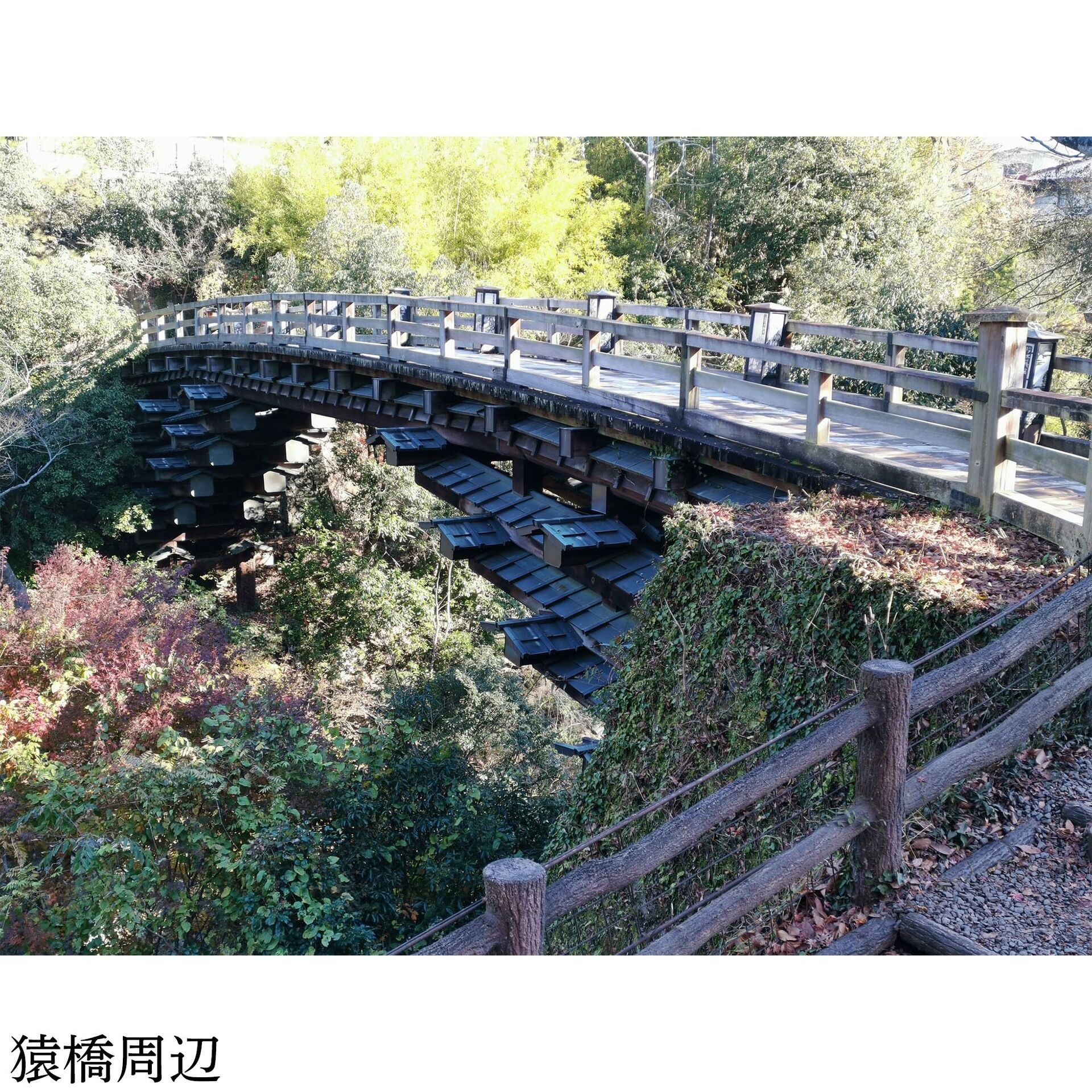 画像4910