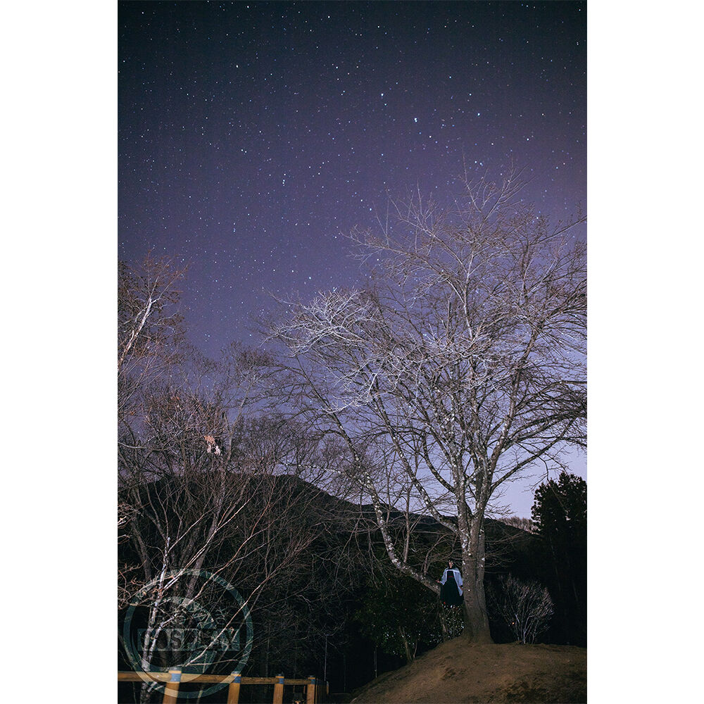 画像4979