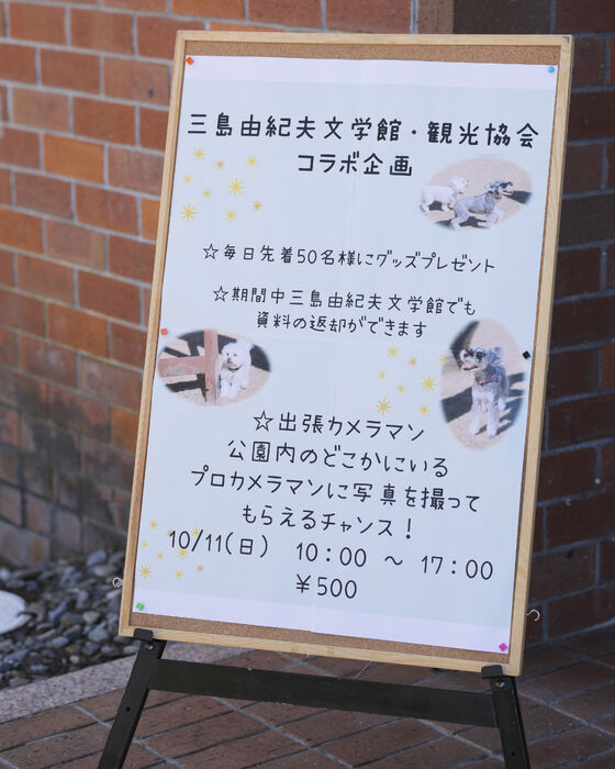 画像4995