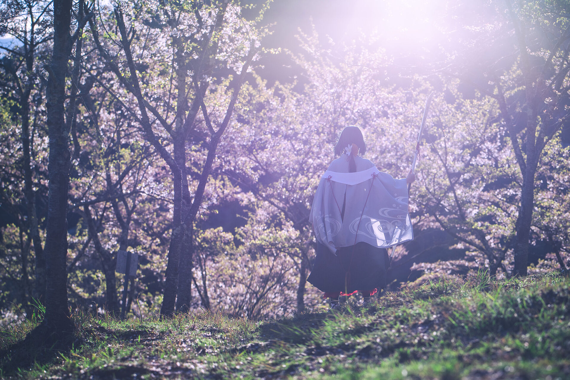 r10406_hirune_0743_blt_resize